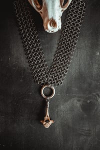 Image 1 of Raccoon vertebra and chainmail necklace
