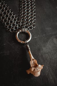 Image 4 of Raccoon vertebra and chainmail necklace