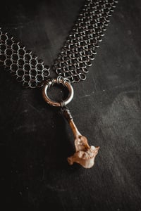 Image 6 of Raccoon vertebra and chainmail necklace