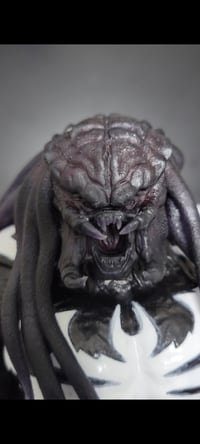 Image 2 of Viking predator