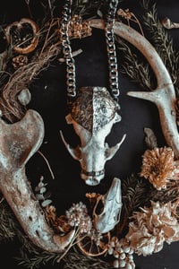 Image 1 of Racoon skull necklace 