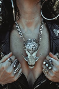 Image 2 of Racoon skull necklace 
