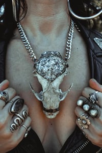 Image 7 of Racoon skull necklace 