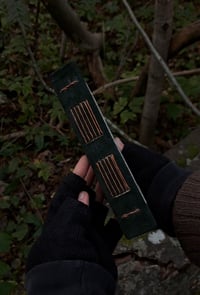 Image 3 of "Metsäkerrossammal" journal