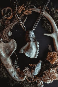 Image 3 of Deer jaw bone necklace 
