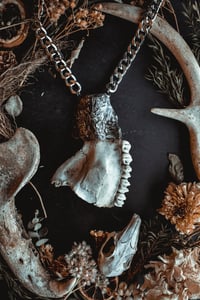 Image 4 of Deer jaw bone necklace 