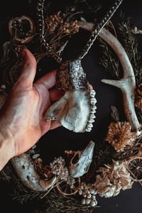 Image 5 of Deer jaw bone necklace 