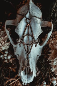 Image 5 of copper sigil