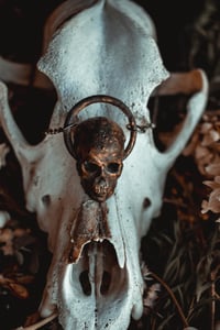 Image 2 of Skull necklace 