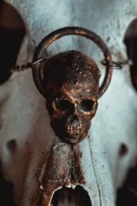 Image 3 of Skull necklace 