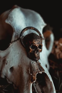 Image 1 of Skull necklace 