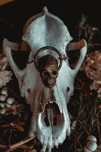 Image 4 of Skull necklace 