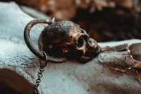 Image 5 of Skull necklace 