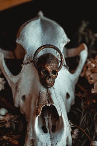 Image 6 of Skull necklace 
