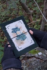 Image 1 of "Metsänahkajäkälä" journal