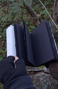 Image 3 of "Metsänahkajäkälä" journal