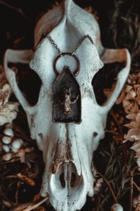 Image 1 of Mouse skull shrine