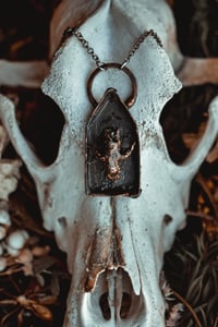 Image 2 of Mouse skull shrine