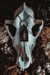 Image 3 of Mouse skull shrine