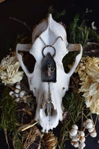 Image 5 of Mouse skull shrine