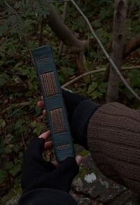 Image 2 of "Torvijäkälä" journal