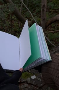 Image 3 of "Torvijäkälä" journal