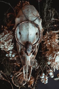 Image 2 of Cat skull necklace