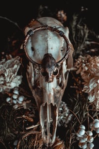 Image 3 of Cat skull necklace
