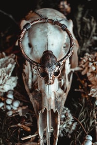 Image 1 of Cat skull necklace