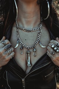 Image 1 of Wild Amulet