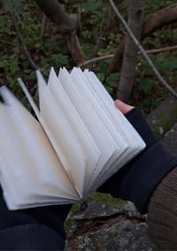 Image 4 of Birch journals