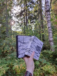 Image 1 of Birch journals