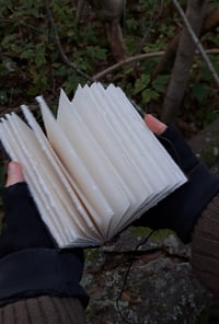 Image 3 of Lichen wood journal