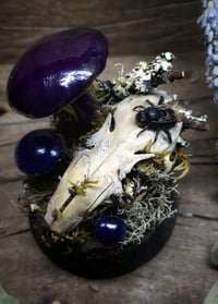 Image 5 of Rabbit Skull and Mushroom Glass Globe