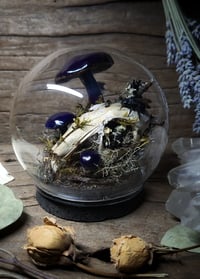 Image 2 of Rabbit Skull and Mushroom Glass Globe