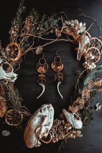 Image 4 of Moon drops