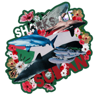 Image 5 of SHARKS OF stickers