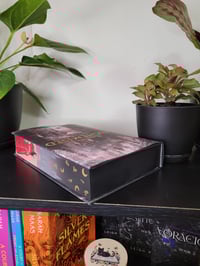 Image 3 of Hardcover Alchemised by SenLinYu Sprayed Edges 