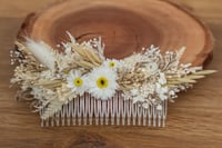 Image 3 of Hair Comb 7 - Larger Comb