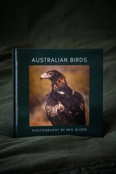 Image of Australian Birds