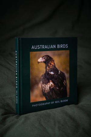 Image of Australian Birds