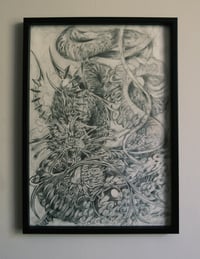 Eastern Dragon Illustration 