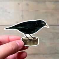 Blackbird vinyl sticker