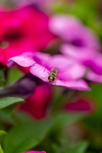 Image 2 of This Equals That