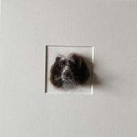 Image 1 of Commission Sample Dog