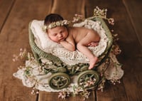 Image 1 of Blooming pram in different colors