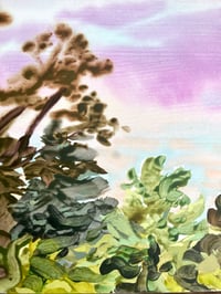 Image 2 of Late September Sunrise