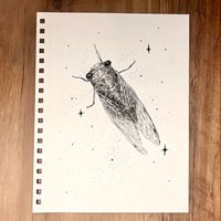 Haleigh Couch Surfer: Open Exercise INSIDE COVER