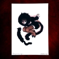 Image 2 of Black Cat L 