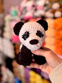 Image 1 of Peter The Panda